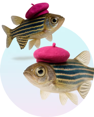 Aquatics