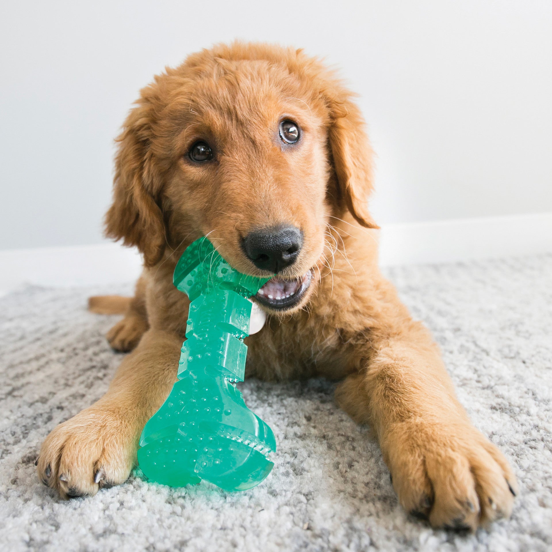 Kong Squeezz Dental Stick M