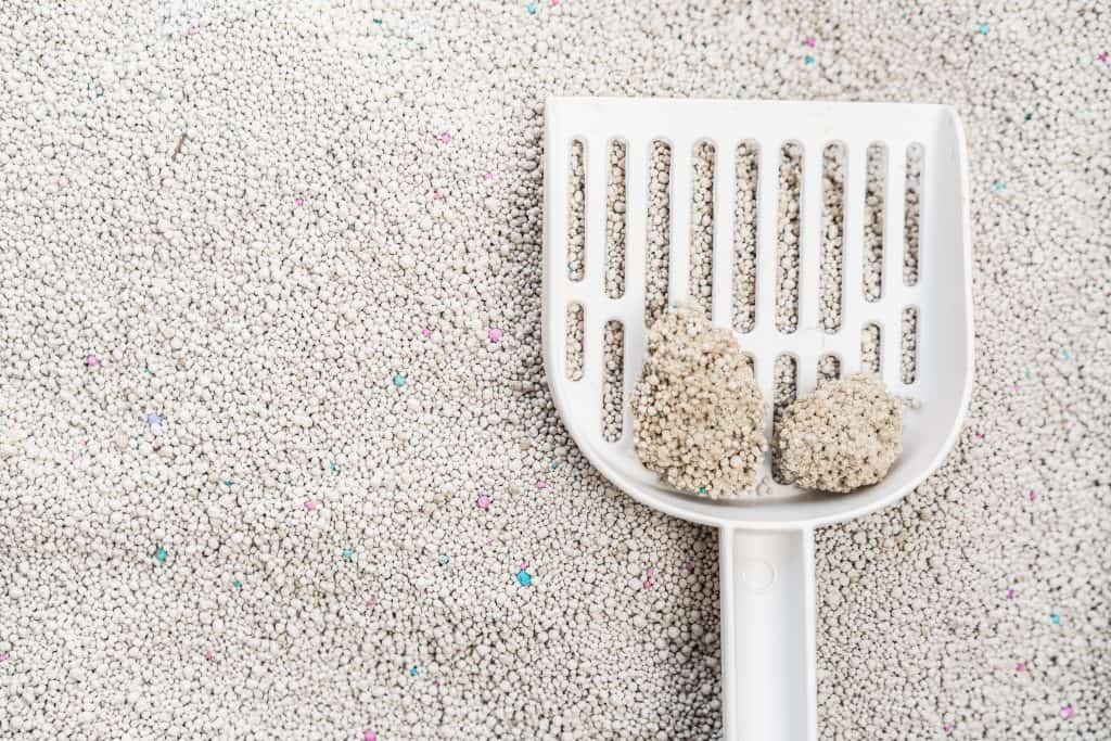 VPS Bentonite Cat Litter – Lavender
