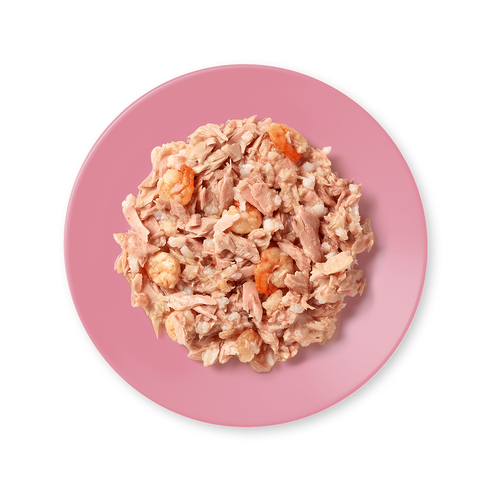 Applaws Tin Tuna Fillet & Prawn in Broth 70g