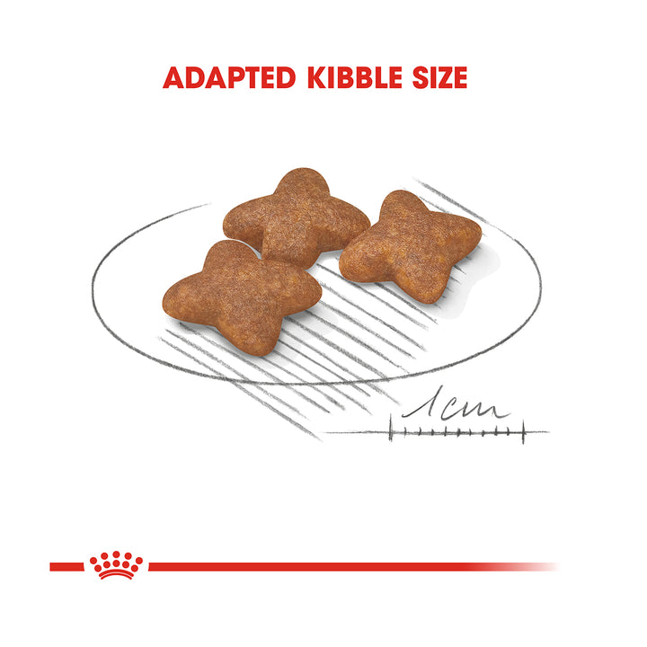 Royal Canin Mini Adult