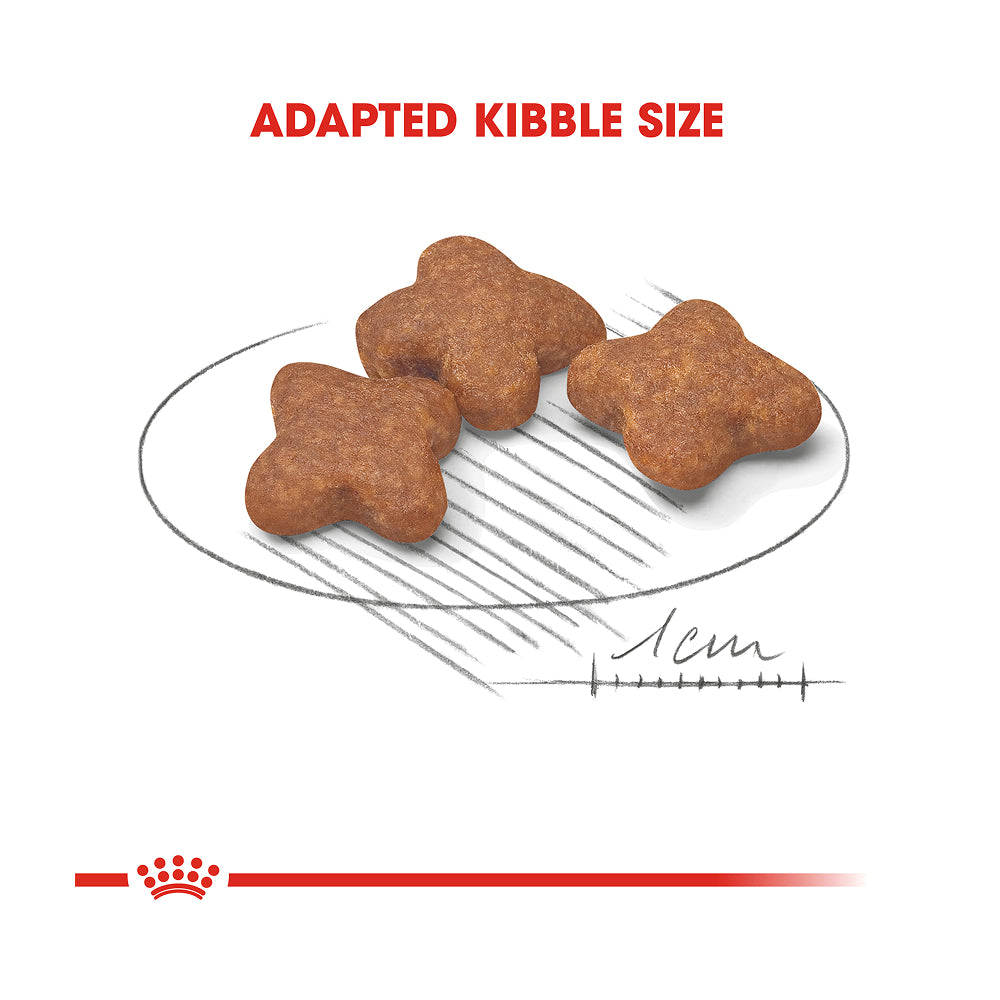 Royal Canin Mini Adult 8+ 2kg