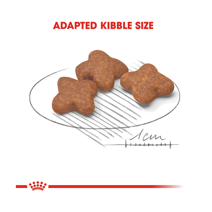 Royal Canin Mini Adult 8+ 2kg