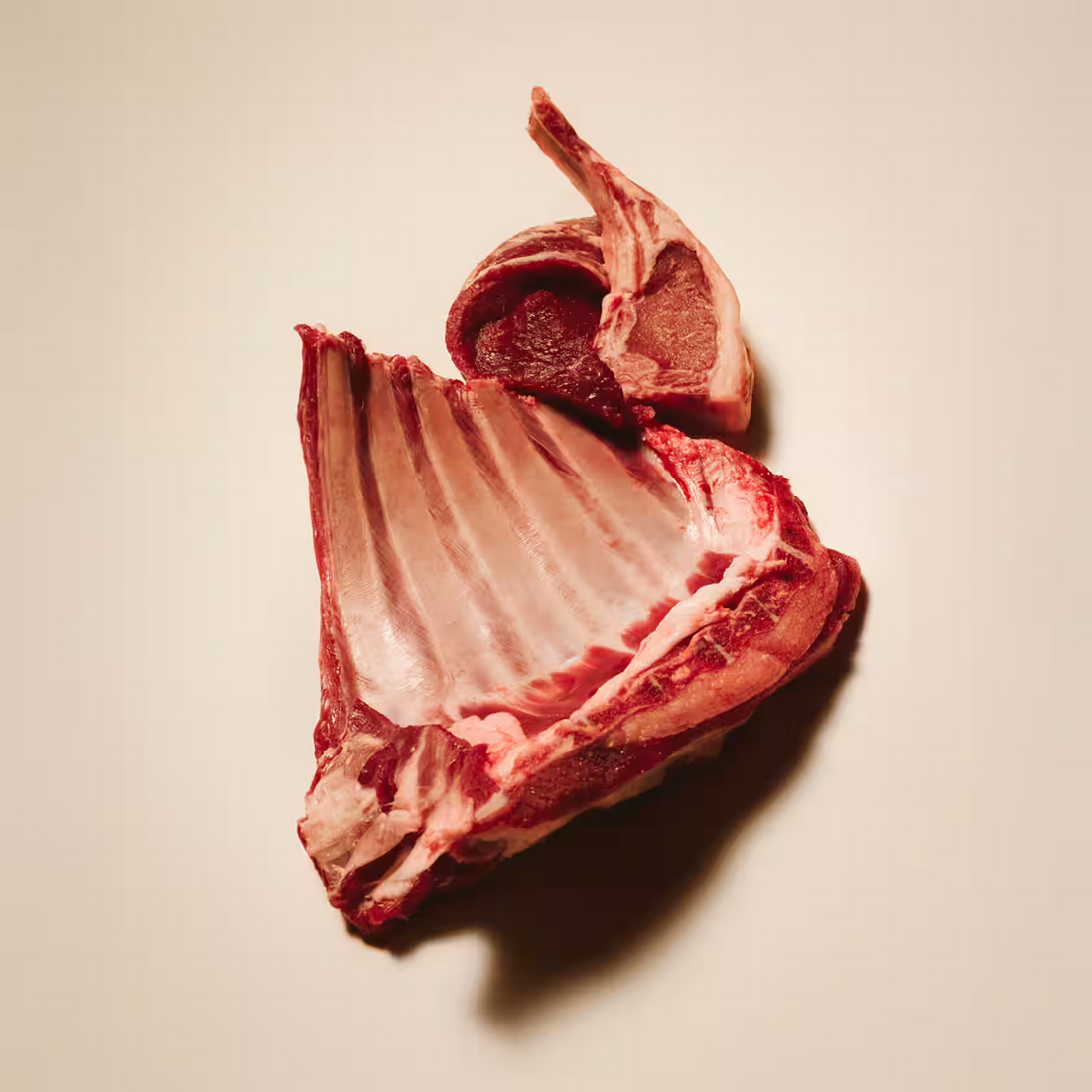 Carnilove Crunchy Treat – Lamb & Cranberries 200g