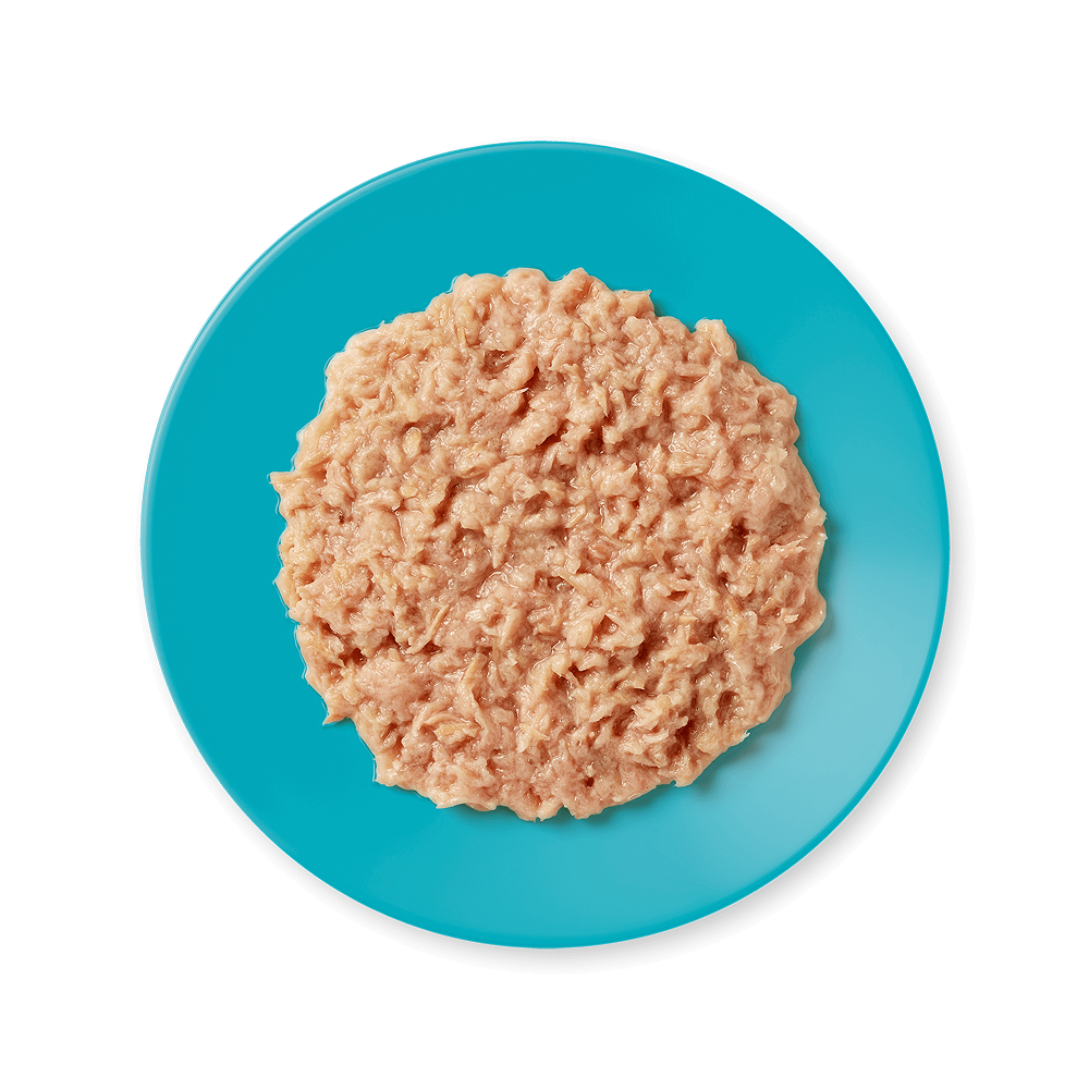 Applaws Tin Kitten Tuna Fillet in Jelly 70g