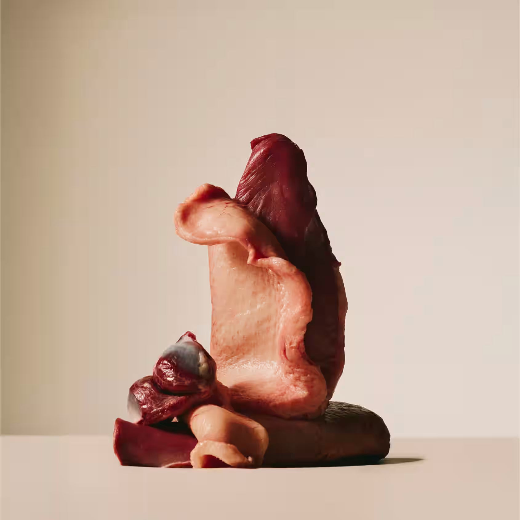 Carnilove Cat Pouch Duck With Catnip 85g