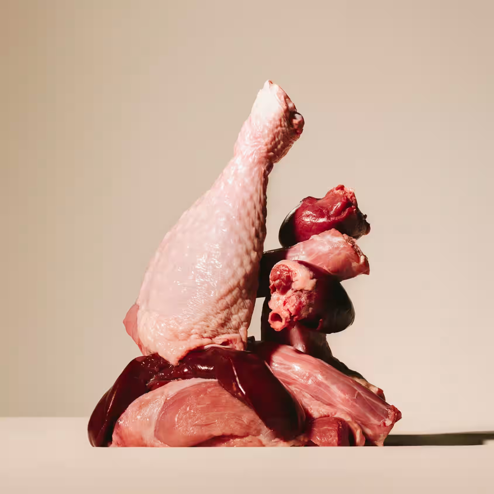 CARNILOVE Tin Turkey & Reindeer & Wild Boar 400g