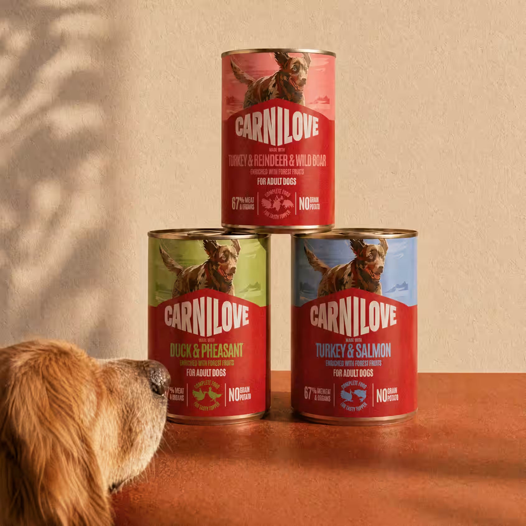 CARNILOVE Tin Turkey & Reindeer & Wild Boar 400g
