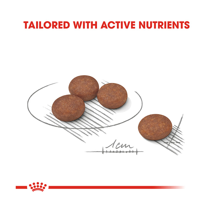 Royal Canin Mini Digestive Care 3kg