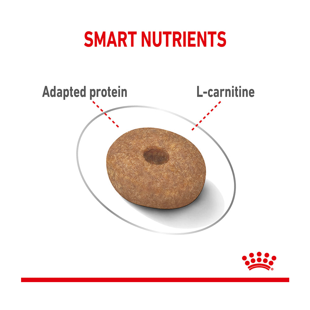 Royal Canin Mini Light Weight Care 3kg