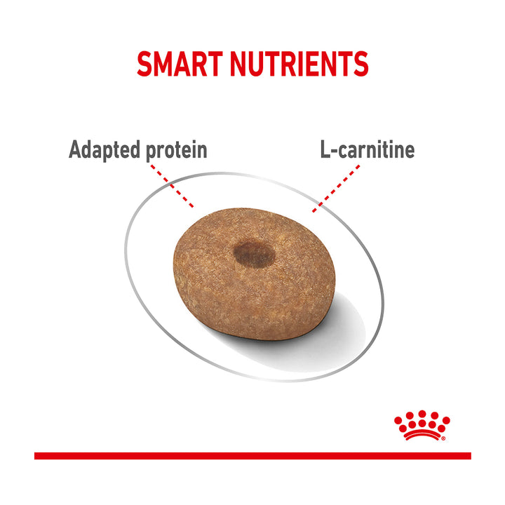 Royal Canin Mini Light Weight Care 3kg