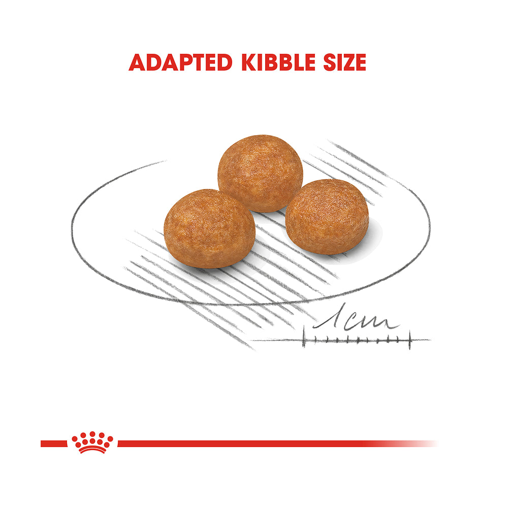 Royal Canin X-Small Adult 1.5kg