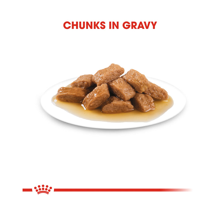 Royal Canin Medium Ageing In Gravy Pouch 140g