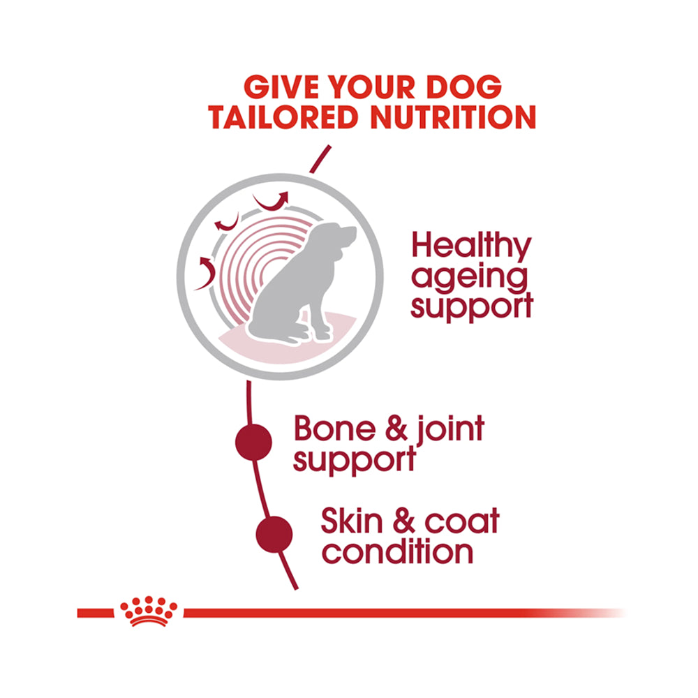 Royal Canin Medium Ageing In Gravy Pouch 140g