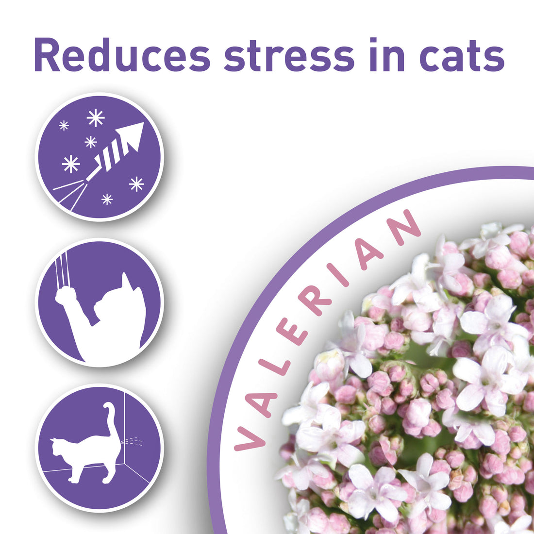 Beaphar Calming Spot On For Cats