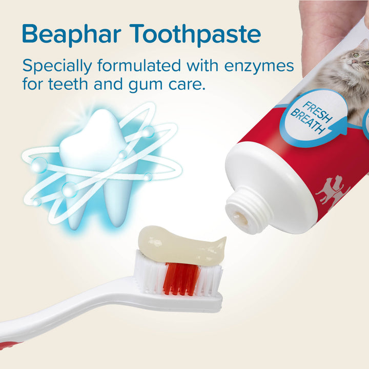 Beaphar Toothpaste Liver Flavour 100g