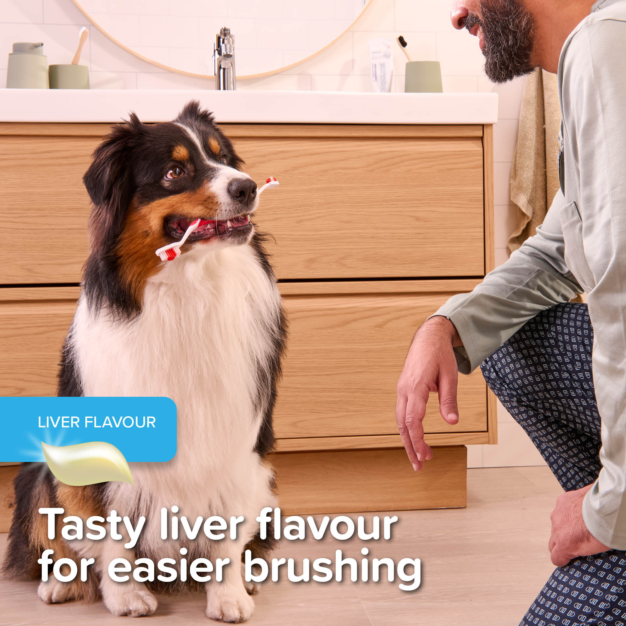Beaphar Toothpaste Liver Flavour 100g
