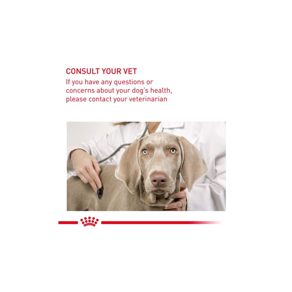 Royal Canin Sterilised Loaf 85g