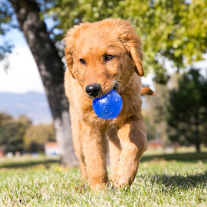 Kong Squeezz Ball M