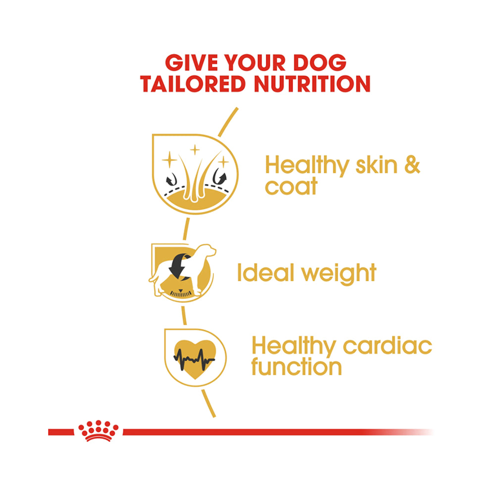 Royal Canin Cocker Spaniel Adult 3kg