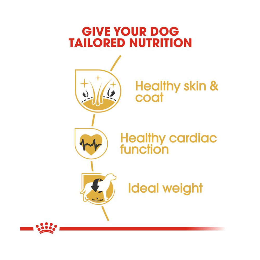 Royal Canin Golden Retriever Adult 12kg