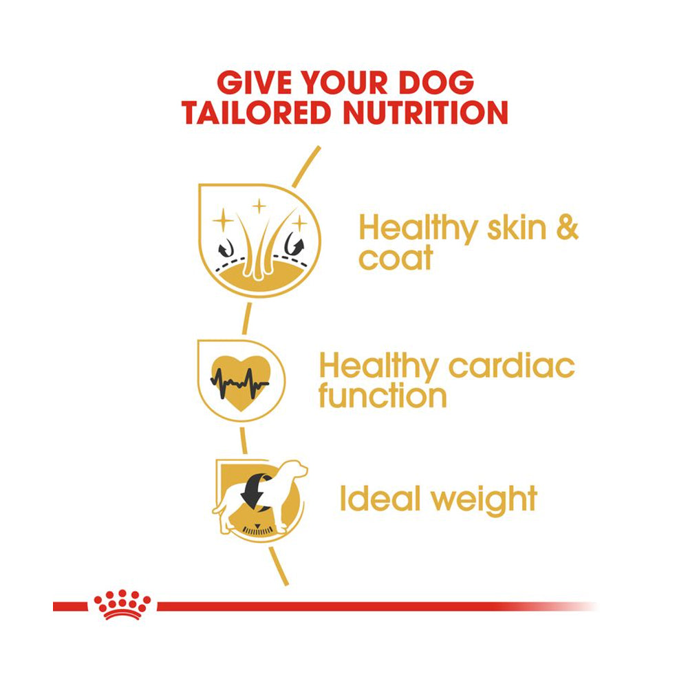 Royal Canin Labrador Retriever Adult 12kg