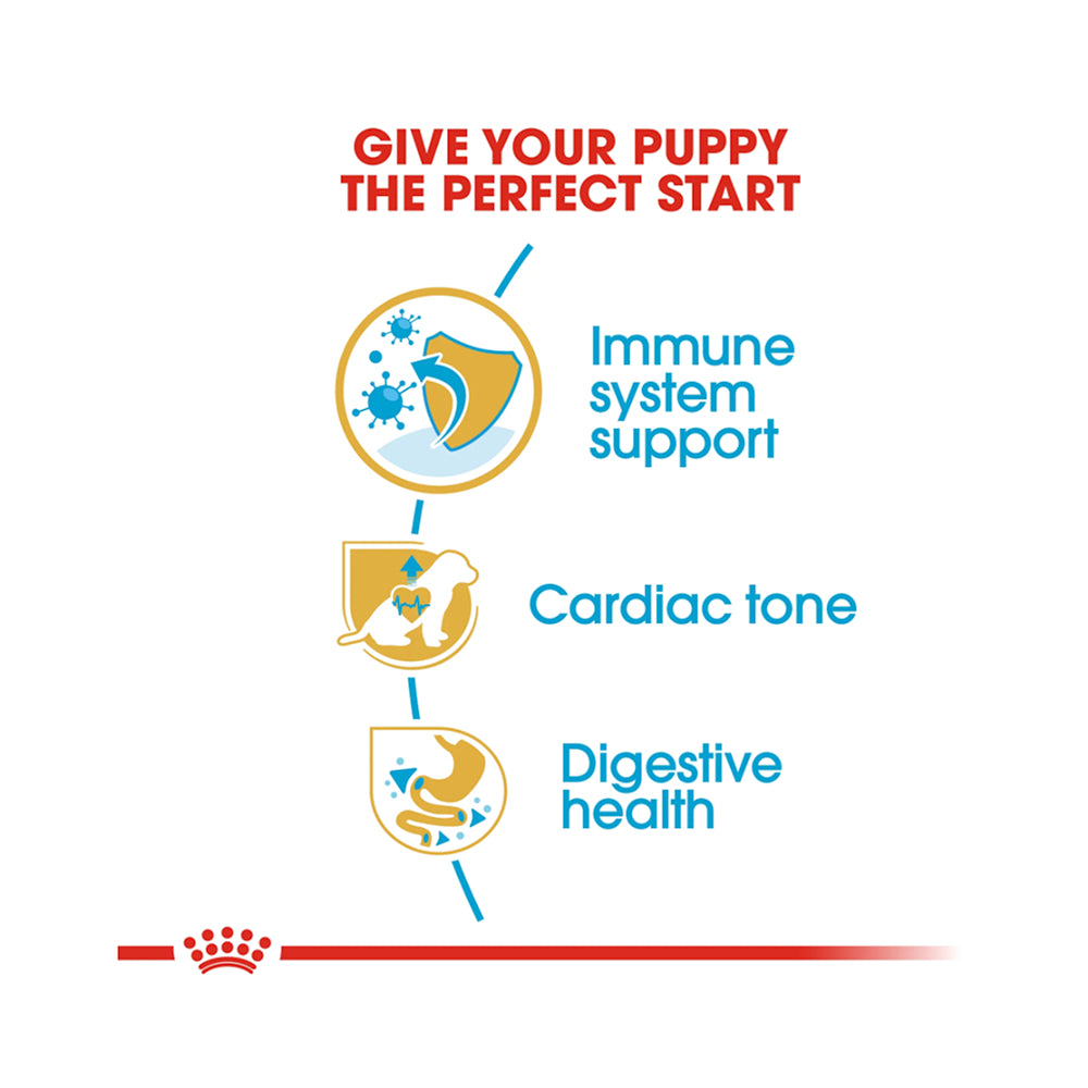 Royal Canin Cavalier King Charles Puppy 1.5kg