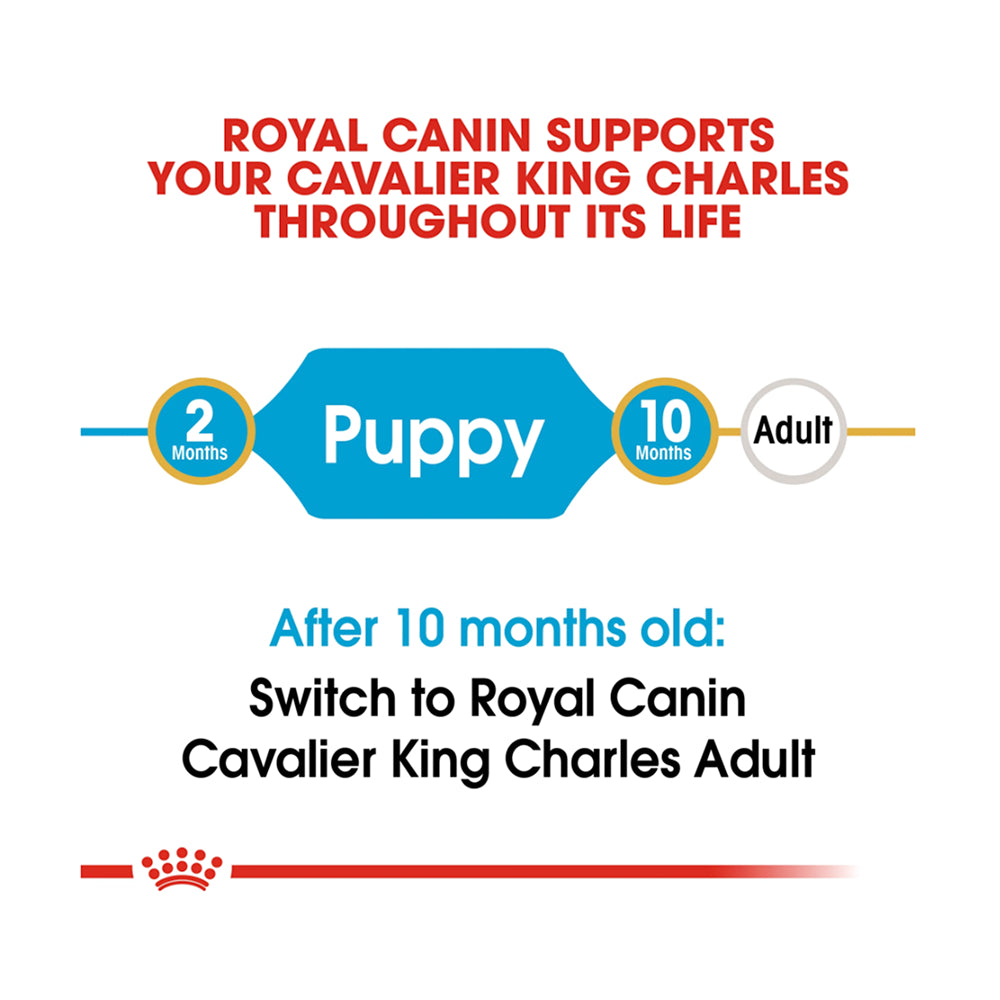 Royal Canin Cavalier King Charles Puppy 1.5kg