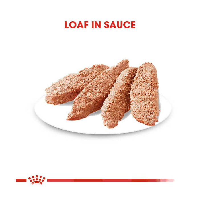 Royal Canin Digestive Care Loaf 85g
