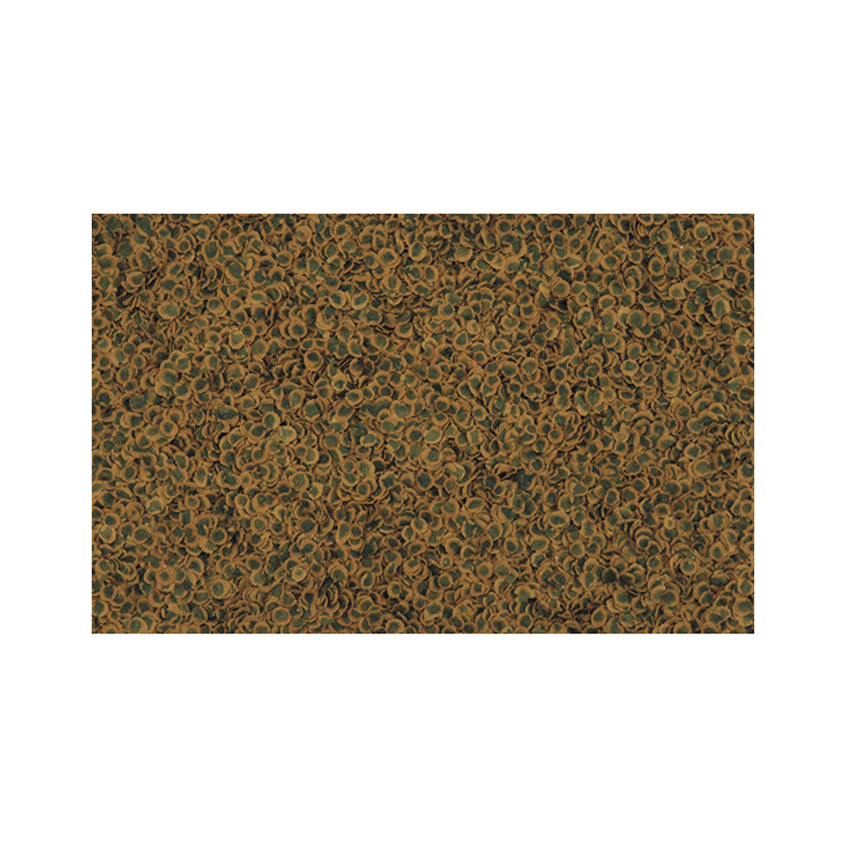 TetraPro Algae