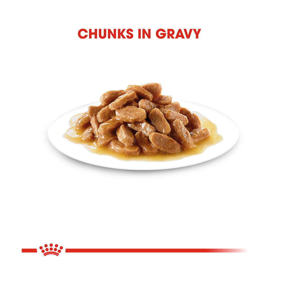 Royal Canin Mini Puppy In Gravy Pouch 85g