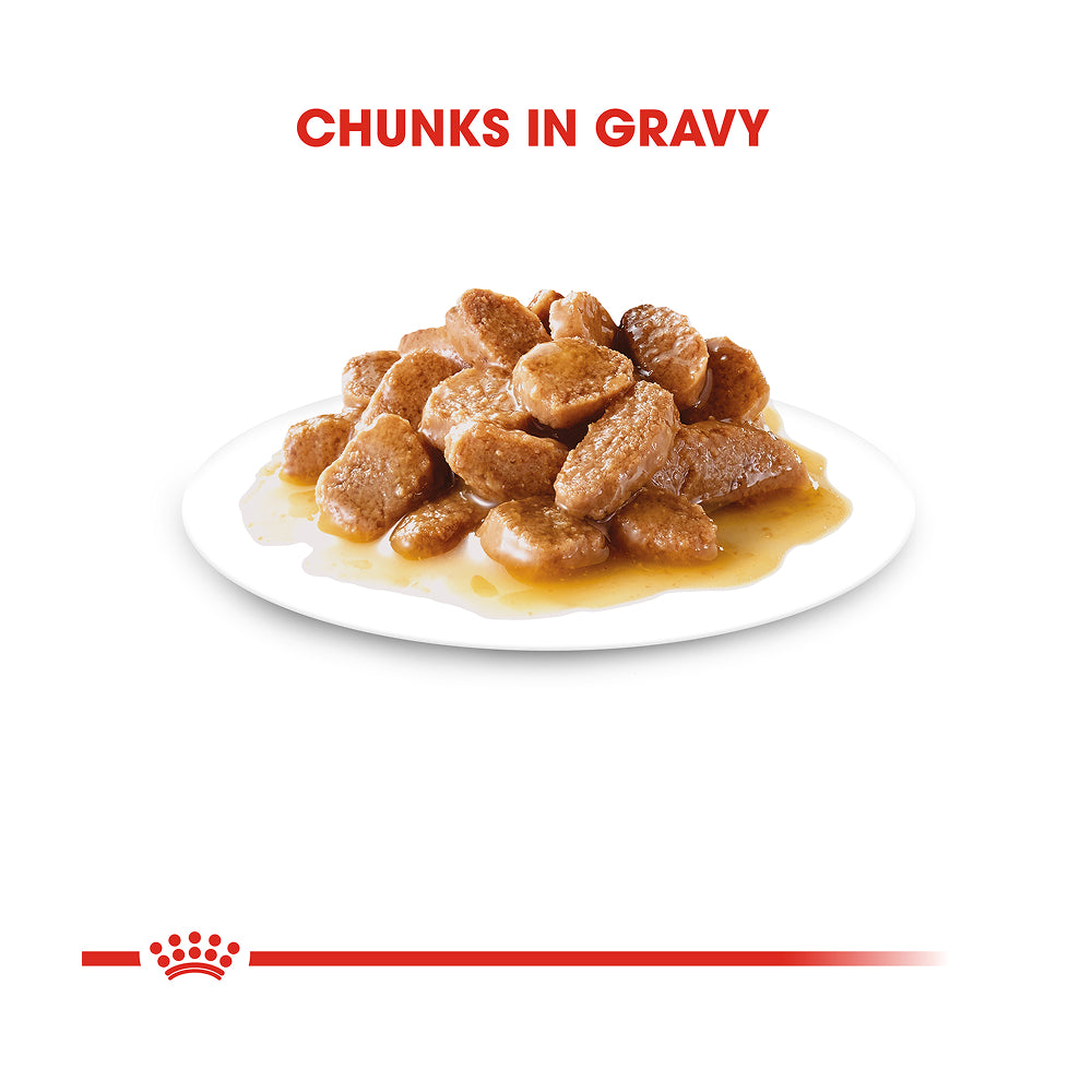 Royal Canin Mini Adult In Gravy Pouch 85g