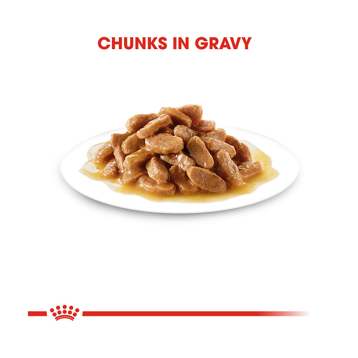 Royal Canin Medium Puppy In Gravy Pouch 140g