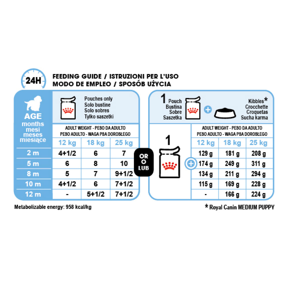 Royal Canin Medium Puppy In Gravy Pouch 140g