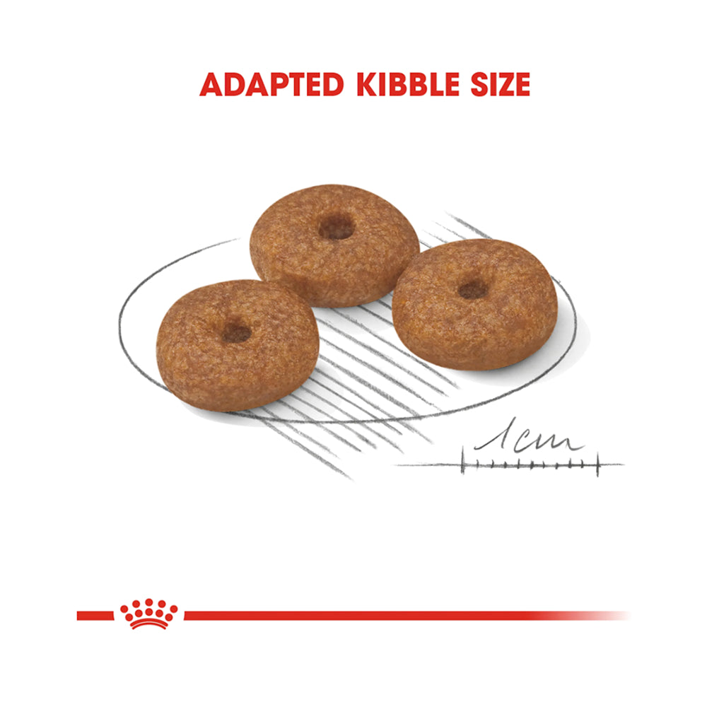 Royal Canin Mini Ageing 12+ 1.5kg