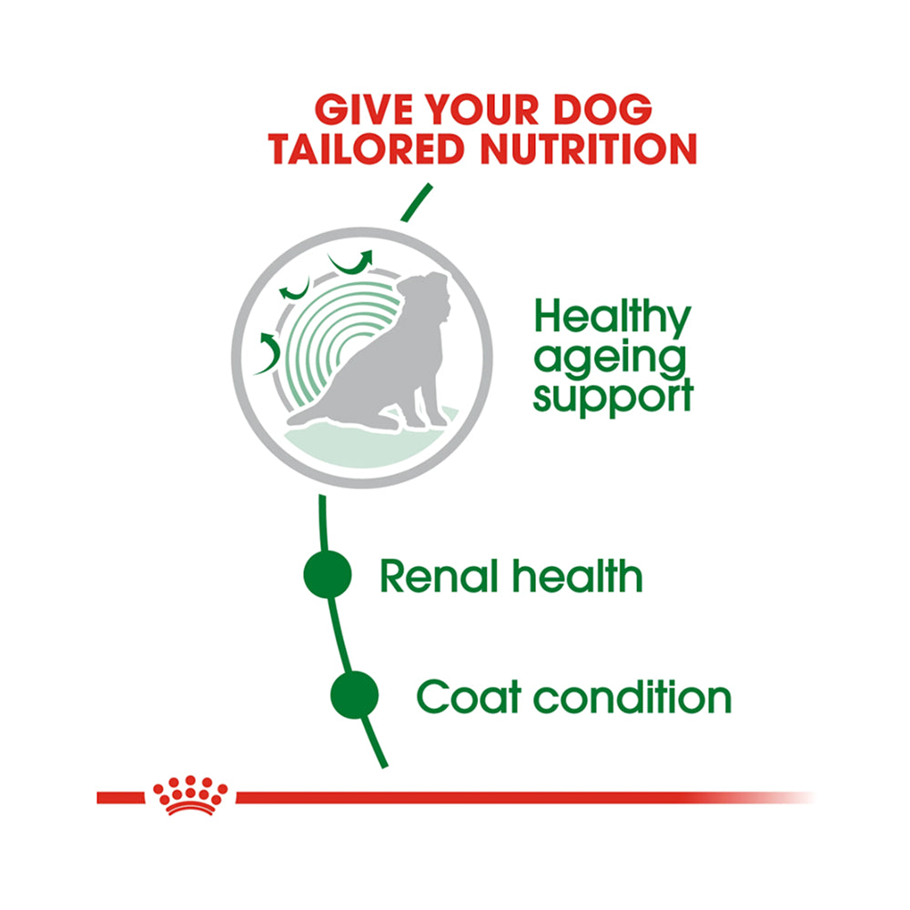Royal Canin Mini Ageing 12+ 1.5kg