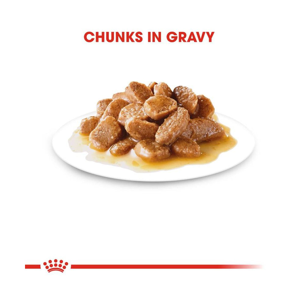 Royal Canin Mini Ageing In Gravy Pouch 85g