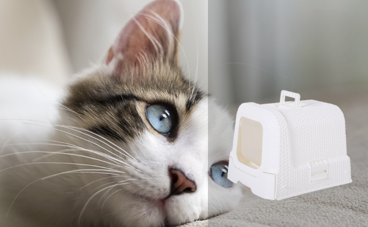 PawHut Large Cat Litter Tray Box With Scoop