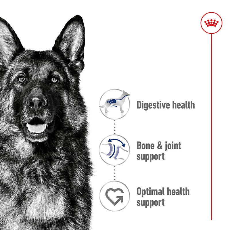 Royal Canin Maxi Adult 3kg