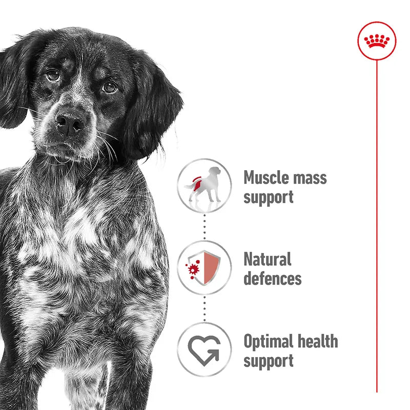 Royal Canin Medium Adult