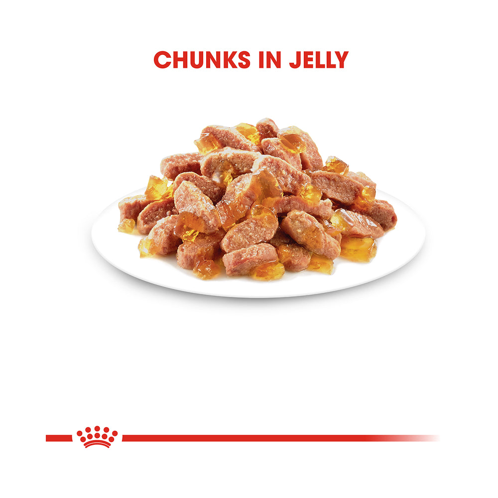 Royal Canin Kitten Pouch in Jelly