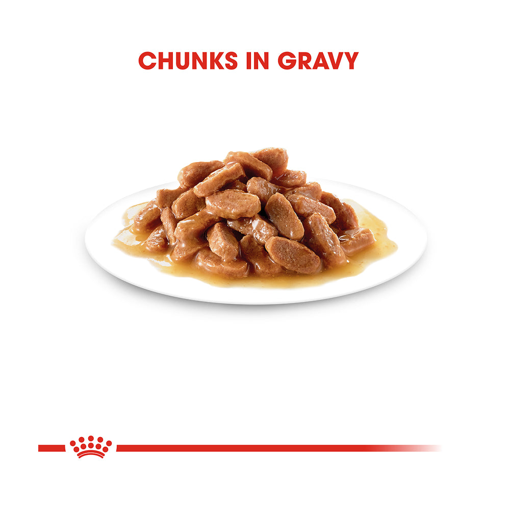 Royal Canin Kitten Pouch in Gravy