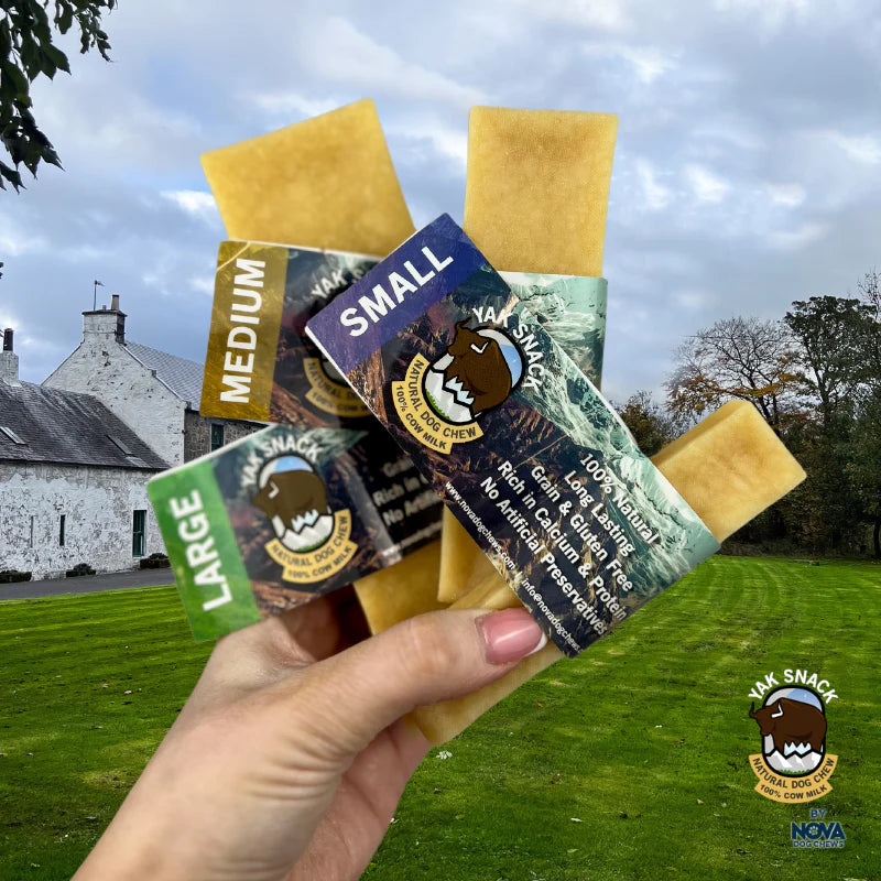 Dog Chews Yak Snack Small