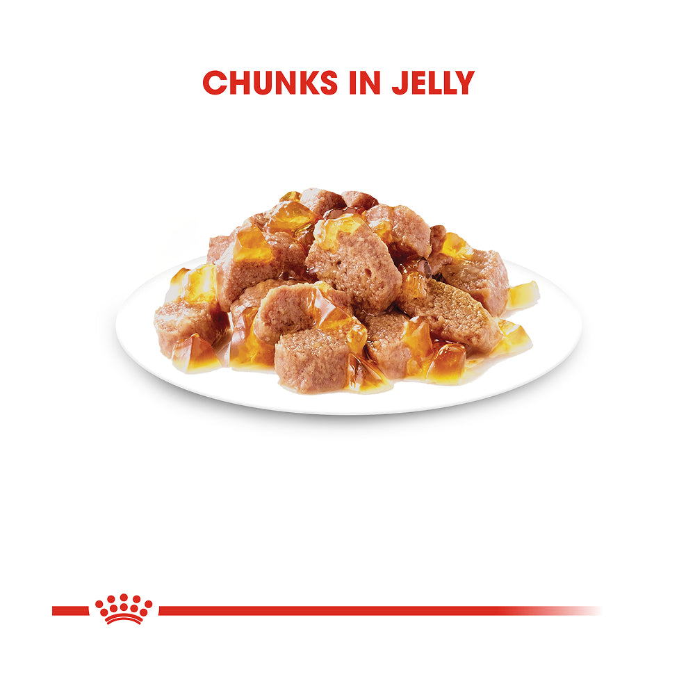 Royal Canin Instinctive in Jelly