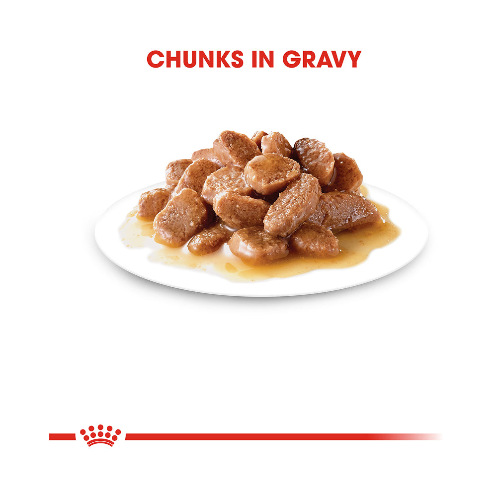 Royal Canin Instinctive 7+ Pouch in Gravy