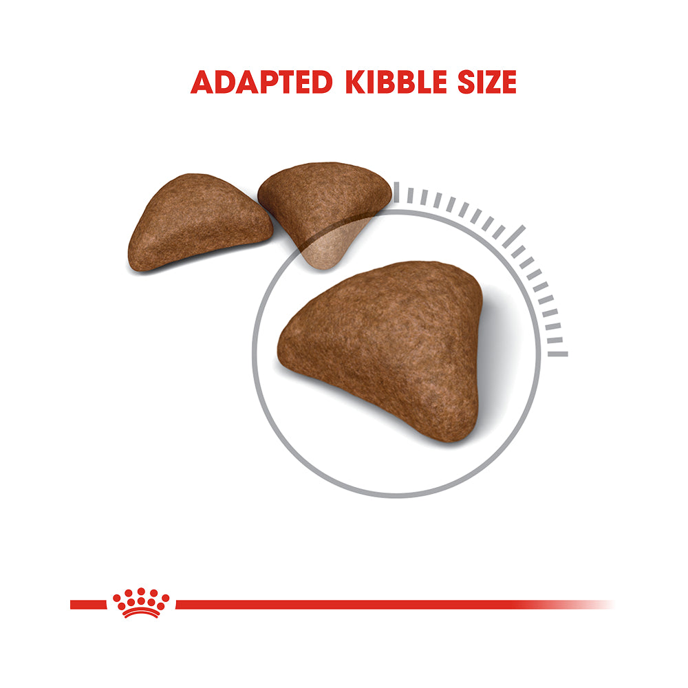 Royal Canin Hairball Care