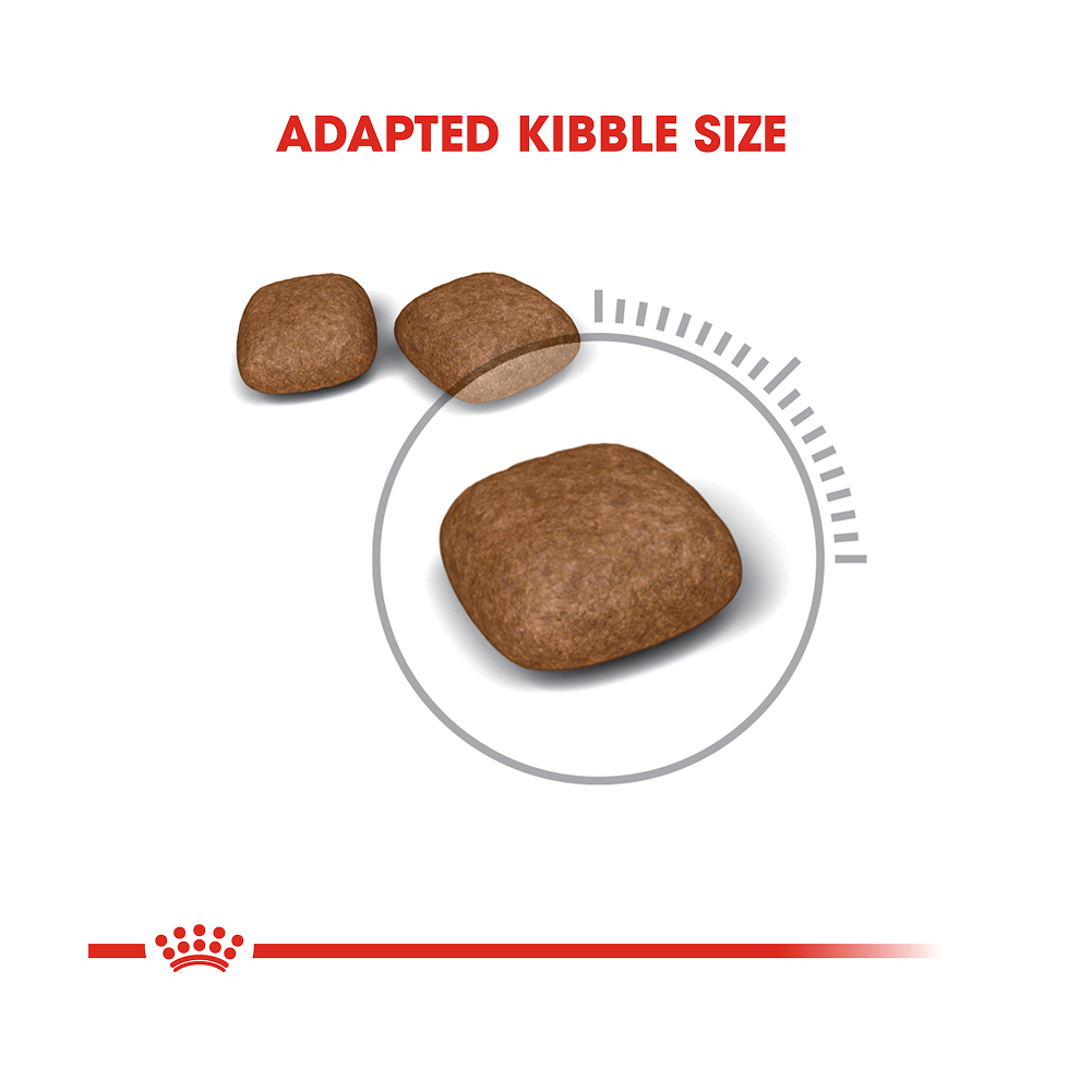 Royal Canin Urinary Care