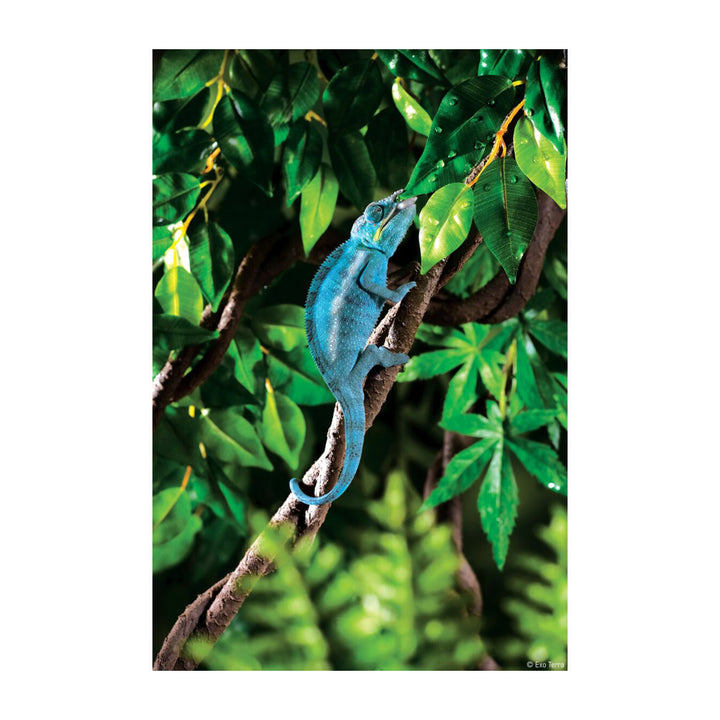Exo Terra Jungle Vines Large