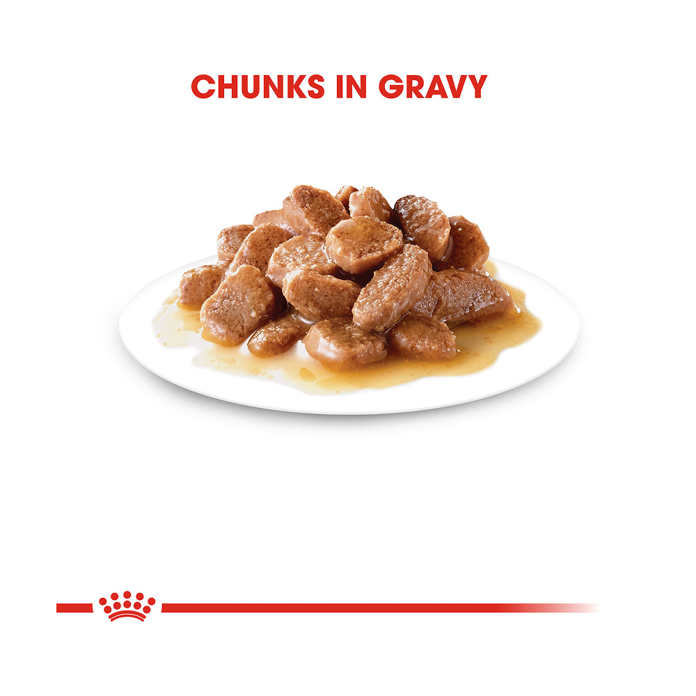 Royal Canin Digestive Care Pouch in Gravy