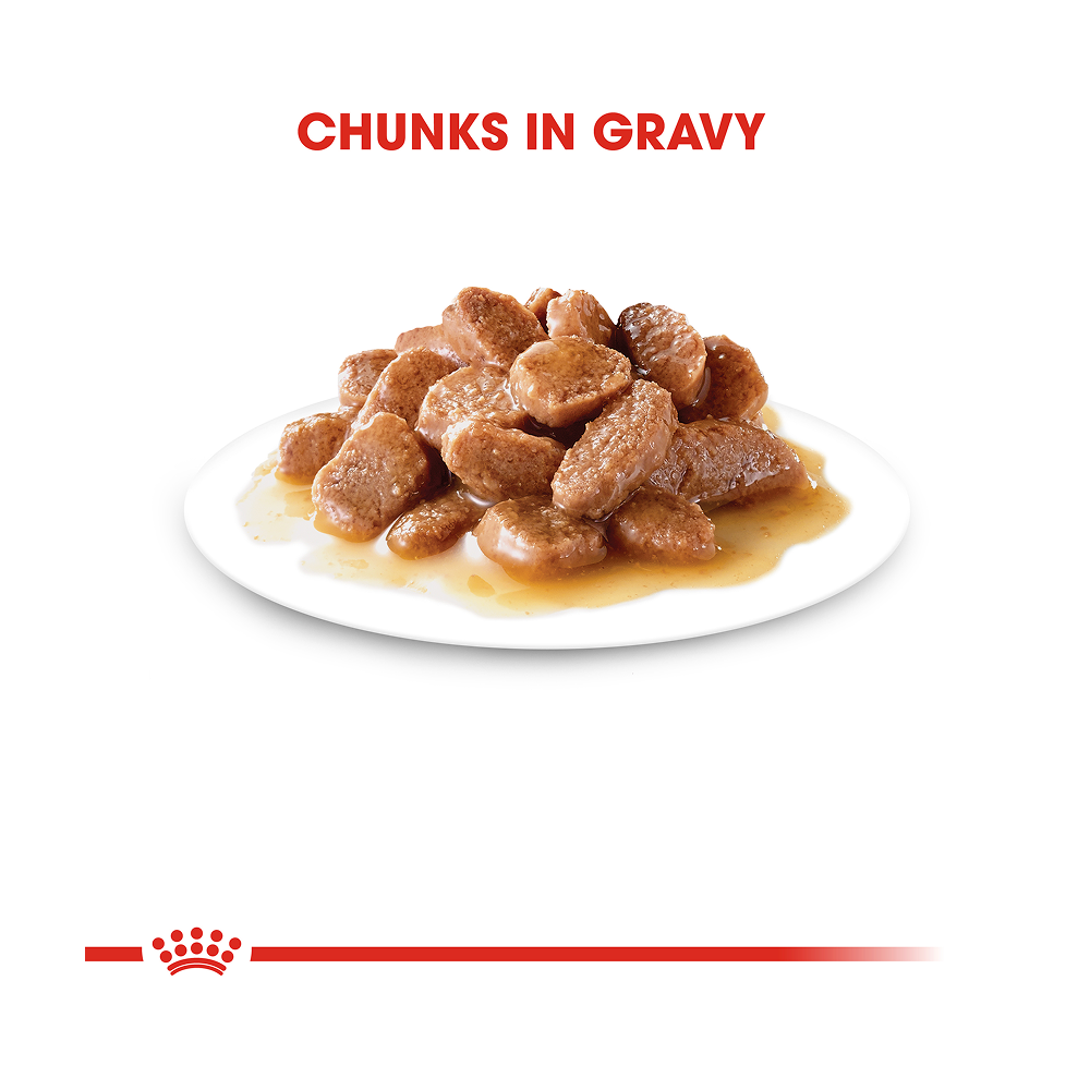 Royal Canin Sterilised Pouch in Gravy